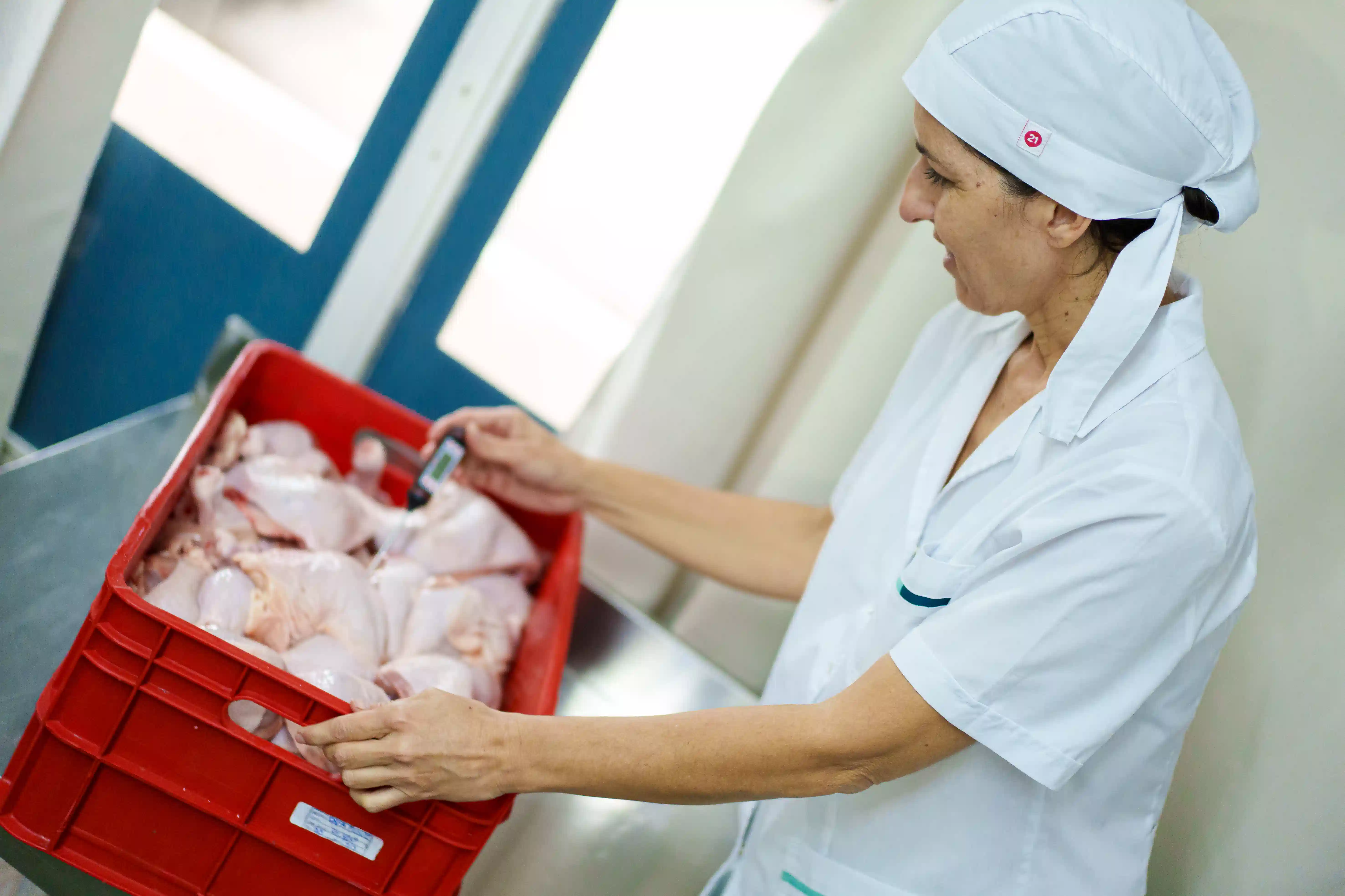 Proceso Natural Chef